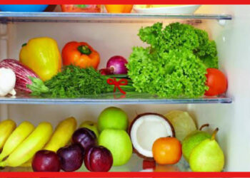Use of Refrigerator: ফ্রিজে কোন খাবার কত দিন ভালো থাকে? সামান্য ভুলে ডাকছেন মারাত্মক বিপদ!