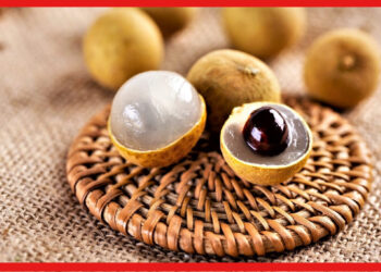 Longan Farming: লিচুর বিকল্প হতে পারে লংগান, বাণিজ্যিক চাষের সম্ভাবনা এই বিদেশি ফলকে ঘিরে