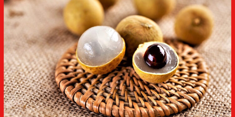 Longan Farming: লিচুর বিকল্প হতে পারে লংগান, বাণিজ্যিক চাষের সম্ভাবনা এই বিদেশি ফলকে ঘিরে