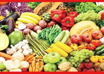 Business Idea: শীতের সবজি বিক্রি করুন গরমে, অল্প বিনিয়োগে লাভ হবে কয়েক গুণ বেশি