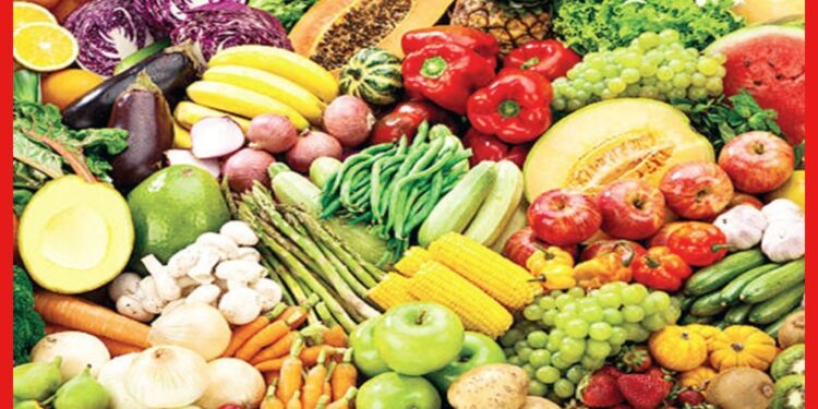 Business Idea: শীতের সবজি বিক্রি করুন গরমে, অল্প বিনিয়োগে লাভ হবে কয়েক গুণ বেশি