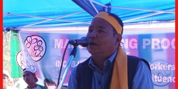 Meghalaya Assembly Election: প্রার্থীপদের মোহ কাটিয়ে ঘাসফুলে অগাস্টিন! নামছেন TMC-এর প্রচারে
