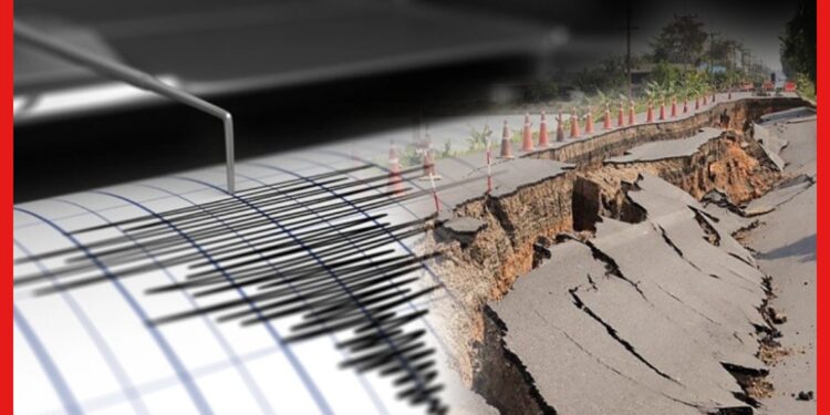Earthquake Forecasting: ভূমিকম্পের পূর্বাভাস দেওয়া আদৌ কি সম্ভব? কেন অস্বাভাবিক আচরণ করে পাখিরা?