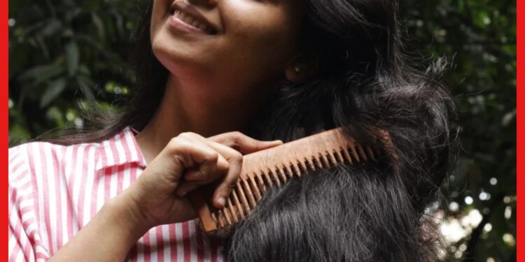 Neem Wood Comb: চুল পড়া বন্ধ হবে চিরুনির গুণে ! আদৌ কি সাহায্য করে নিম কাঠ ?