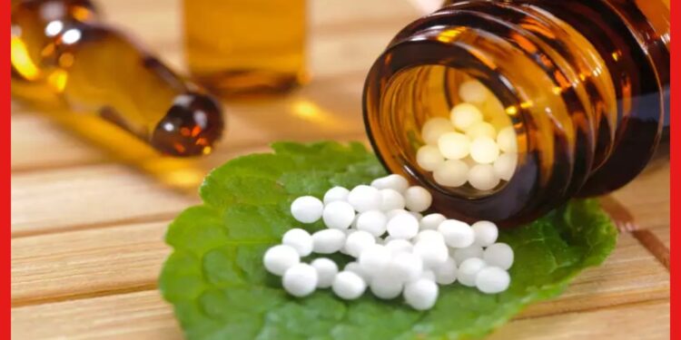 Homeopathy Medicine: টক খেলে কাজ করে না হোমিওপ্যাথি ওষুধ, আদৌ কি কোন যুক্তি রয়েছে এর?