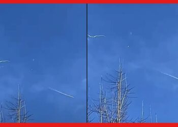 China Spy Baloon: চীনের গুপ্তচর বেলুন টার্গেট করেছিল ভারতকেও! প্রকাশ্যে চাঞ্চল্যকর রিপোর্ট