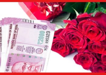 Business Idea: উপার্জনের অঢেল সুযোগ Valentines day-তে! চেষ্টা করে দেখুন আপনিও