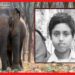 Madhyamik Examinee Died: হাতির হামলায় মৃত্যু মাধ্যমিক পরীক্ষার্থীর, পিষে দিল দলছুট দাঁতাল