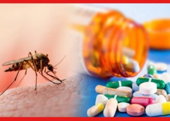 Drug For Malaria: ম্যালেরিয়ায় আর মৃত্যু নয়, ভারতীয় বৈজ্ঞানিক আবিষ্কার করল যুগান্তকারী ওষুধ!