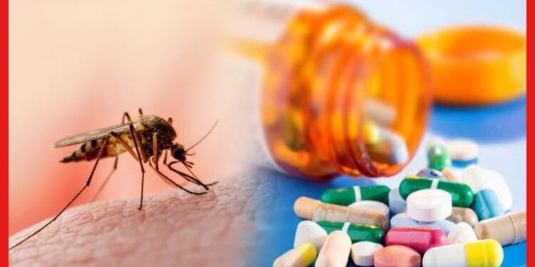 Drug For Malaria: ম্যালেরিয়ায় আর মৃত্যু নয়, ভারতীয় বৈজ্ঞানিক আবিষ্কার করল যুগান্তকারী ওষুধ!