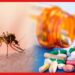Drug For Malaria: ম্যালেরিয়ায় আর মৃত্যু নয়, ভারতীয় বৈজ্ঞানিক আবিষ্কার করল যুগান্তকারী ওষুধ!