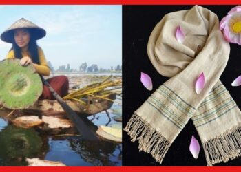 Lotus Silk in india: ভারতের মেয়ে বানাচ্ছেন পদ্মের সিল্ক, দাম আকাশ ছোঁয়া! রয়েছে আশ্চর্য গুণ