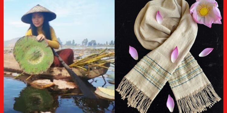 Lotus Silk in india: ভারতের মেয়ে বানাচ্ছেন পদ্মের সিল্ক, দাম আকাশ ছোঁয়া! রয়েছে আশ্চর্য গুণ