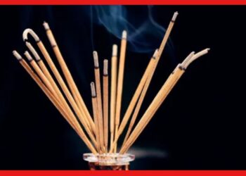 Incense Stick: বাড়িতে সকাল-সন্ধ্যা জ্বলছে ধূপকাঠি, শরীরের দফারফা হচ্ছে! সে খবর রাখেন কি ?