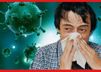 Influenza : সর্দি-কাশি বা জ্বরকে এড়িয়ে যাচ্ছেন ? শীতের শেষে ইনফ্লুয়েঞ্জা সংক্রমণ হয়নি তো!