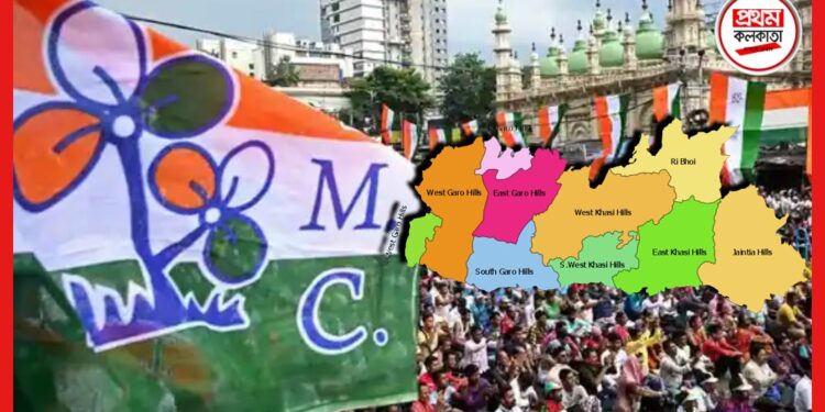 Meghalaya Assembly Election 2023: দোরগোড়ায় মেঘালয় বিধানসভা নির্বাচন, তৃণমূলের প্রার্থী তালিকায় রয়েছে কোন চমক?