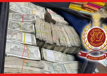 ED Raid In kolkata: ভোর পর্যন্ত চলল ইডির তল্লাশি, বালিগঞ্জ থেকে উদ্ধার মোটা অঙ্কের নগদ টাকা