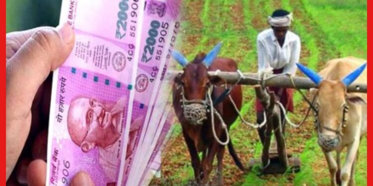 PM Kisan Yojana: কৃষকদের জন্য বড় আপডেট, এই ছোট্ট ভুলে আটকে যাবে পিএম কিষাণের টাকা!