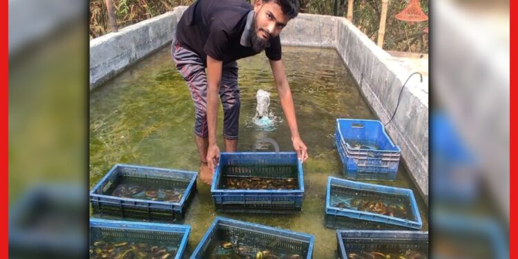 Pearl Farming: বাড়ির ছাদে কীভাবে সম্ভব মুক্তো চাষ? নজির গড়লেন বাংলাদেশের এই ব্যক্তি