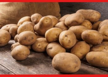 Potato Price: ফসল উৎপাদনের পরিমাণ যথেষ্ট বেশি, তবুও বাজারে দামি আলু