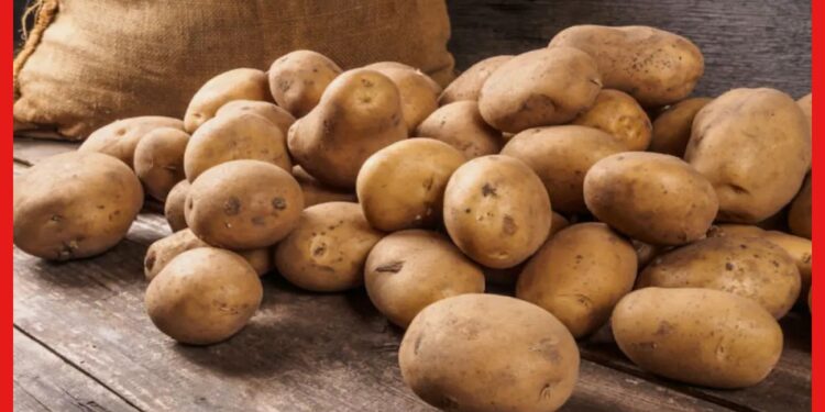 Potato Price: ফসল উৎপাদনের পরিমাণ যথেষ্ট বেশি, তবুও বাজারে দামি আলু