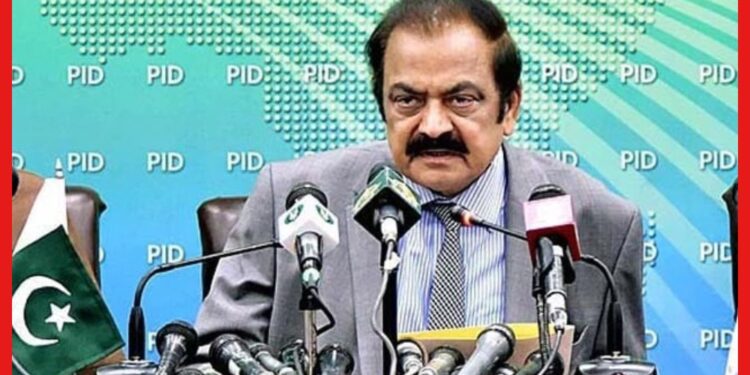 Pakistan: পাকিস্তান মুজাহিদিনদের বড় করেছে এবং এখন তারা সন্ত্রাসী, স্বীকার করলেন দেশটির স্বরাষ্ট্রমন্ত্রী!