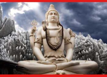 Maha Shivratri 2023: মহা শিবরাত্রিতে শিবের মাথায় ভুলেও এই ফুল দেবেন না, বিপদের শেষ থাকবে না!