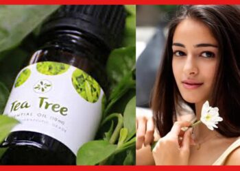 Tea Tree Oil: শুষ্ক ত্বকের ভরসা তেল ! টি ট্রি ওয়েল আপনার ক্ষতি করছে না তো ?
