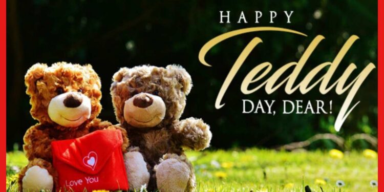Teddy Day: টেডি পেলেই যে কোনও মেয়ে গলে জল! কোন রঙের দেবেন? জানুন