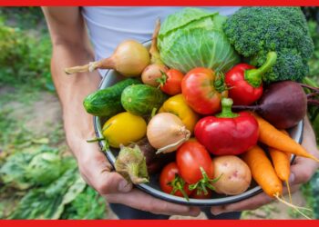 Foods For Spring Time: বসন্তে রোগব্যাধি ঠেকাবেন কীভাবে ? ভরসা রাখুন টাটকা শাকসবজিতে