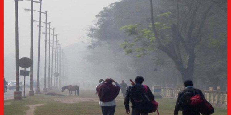 Weather update: শীতের বিদায় মুহূর্ত আসন্ন, কলকাতায় কেমন থাকবে আবহাওয়া?