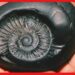 Shaligram Stone: শালিগ্রাম শিলা স্বয়ং ঈশ্বরের প্রতিনিধি! হিন্দু ধর্মে এর মাহাত্ম্য জানেন ?