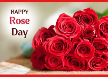 Rose Day: সদ্য প্রেমে পড়েছেন ? রেজ ডে-তে এই রঙের গোলাপ অবশ্যই দিন! নাহলে মনের মানুষ ধোঁকা দিতে পারে