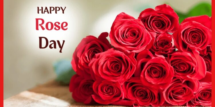 Rose Day: সদ্য প্রেমে পড়েছেন ? রেজ ডে-তে এই রঙের গোলাপ অবশ্যই দিন! নাহলে মনের মানুষ ধোঁকা দিতে পারে