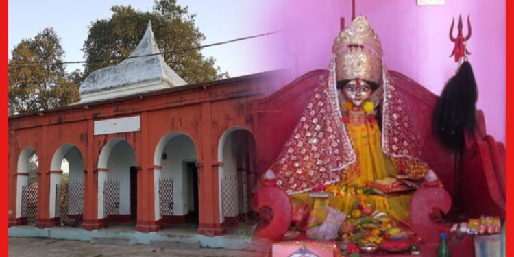 Kiriteswari Shakti Peeth Temple: তারাপীঠ নয়! এই সতীপীঠে দেবী কালীর ভোগে মাছ থাকবেই, বাংলার আদি তীর্থক্ষেত্র