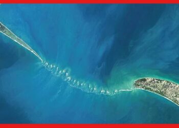 Ram Setu: বানরসেনা তৈরি করেছিল রাম সেতু! অদ্ভুতভাবে জলে ভাসছে পাথর, কী বলছে গবেষণা?