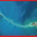 Ram Setu: বানরসেনা তৈরি করেছিল রাম সেতু! অদ্ভুতভাবে জলে ভাসছে পাথর, কী বলছে গবেষণা?