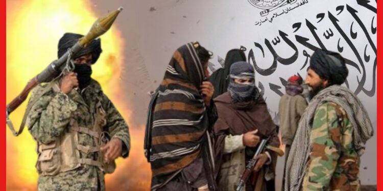Afghanistan’s Balkh Bomb Blast: আফগানিস্তানে ভয়াবহ বোমা বিস্ফোরণ, নিহত তালেবান নিযুক্ত