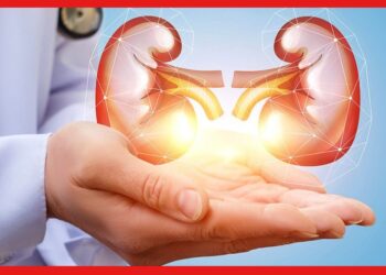 Kidney Care: এই ৫ অভ্যাসে নষ্ট হয়ে যাবে কিডনি! প্রাণ বাঁচাতে এখনই সাবধান হন