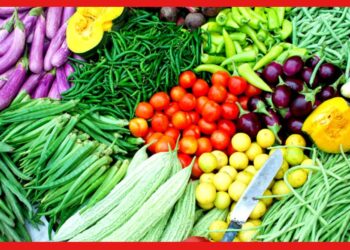 Market Price: গ্যাসের পর আগুন দাম হতে চলেছে সবজির! রবিবার মাছ মাংস কত?
