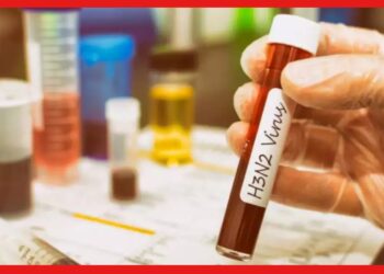 H3N2: H3N2 ভাইরাসে প্রথম মৃত্যু পুনেতে, ভারতে মৃতের সংখ্যা ৯