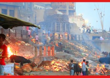 Manikarnika Ghat: মহাদেবের কোলে মৃত্যুর এখানে শুভ! মায়ার জালে জড়ানো কাশীর মণিকর্ণিকা ঘাট