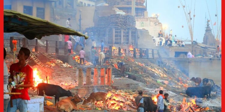 Manikarnika Ghat: মহাদেবের কোলে মৃত্যুর এখানে শুভ! মায়ার জালে জড়ানো কাশীর মণিকর্ণিকা ঘাট