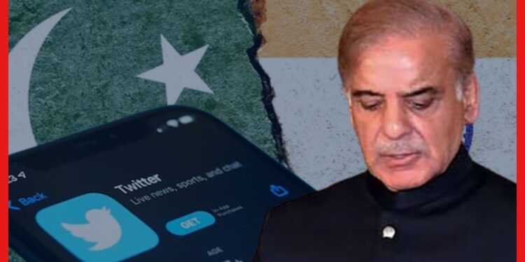 Pakistan Twitter Blocked in India: ভারতে ব্লক পাকিস্তানের সরকারি টুইটার, কারণটা কী?