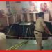 Indore Temple Collapse: রাম নবমীতে মারাত্মক দুর্ঘটনা, মন্দিরের ছাদ ধসে সবাই পড়ল কুয়োতে!