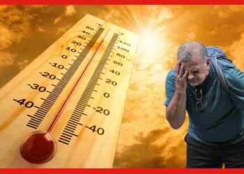 Heat Stroke: গরম পড়তেই বাড়বে হিট স্ট্রোকের আশঙ্কা! কীভাবে সাবধানে থাকবেন?
