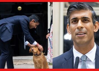 UK PM Rishi Sunak: পুলিশি ঝামেলায় ব্রিটেনের প্রধানমন্ত্রী! কোন অপরাধ করলেন ঋষি সুনক?