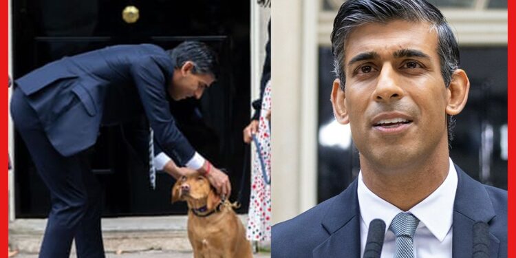 UK PM Rishi Sunak: পুলিশি ঝামেলায় ব্রিটেনের প্রধানমন্ত্রী! কোন অপরাধ করলেন ঋষি সুনক?