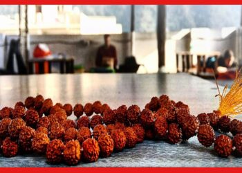 Rudraksha – Benefits of Panchmukhi: বিপদ কাটবে পঞ্চমুখী রুদ্রাক্ষে! ধারণের নিয়ম জানুন
