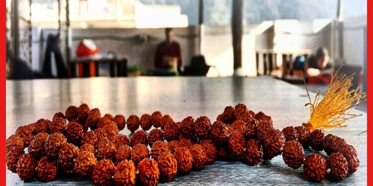 Rudraksha – Benefits of Panchmukhi: বিপদ কাটবে পঞ্চমুখী রুদ্রাক্ষে! ধারণের নিয়ম জানুন